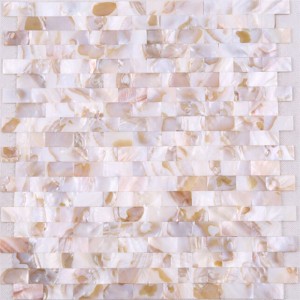 Tejas de mosaico naturales de Backsplash de la concha marina del precio al por mayor para la pared